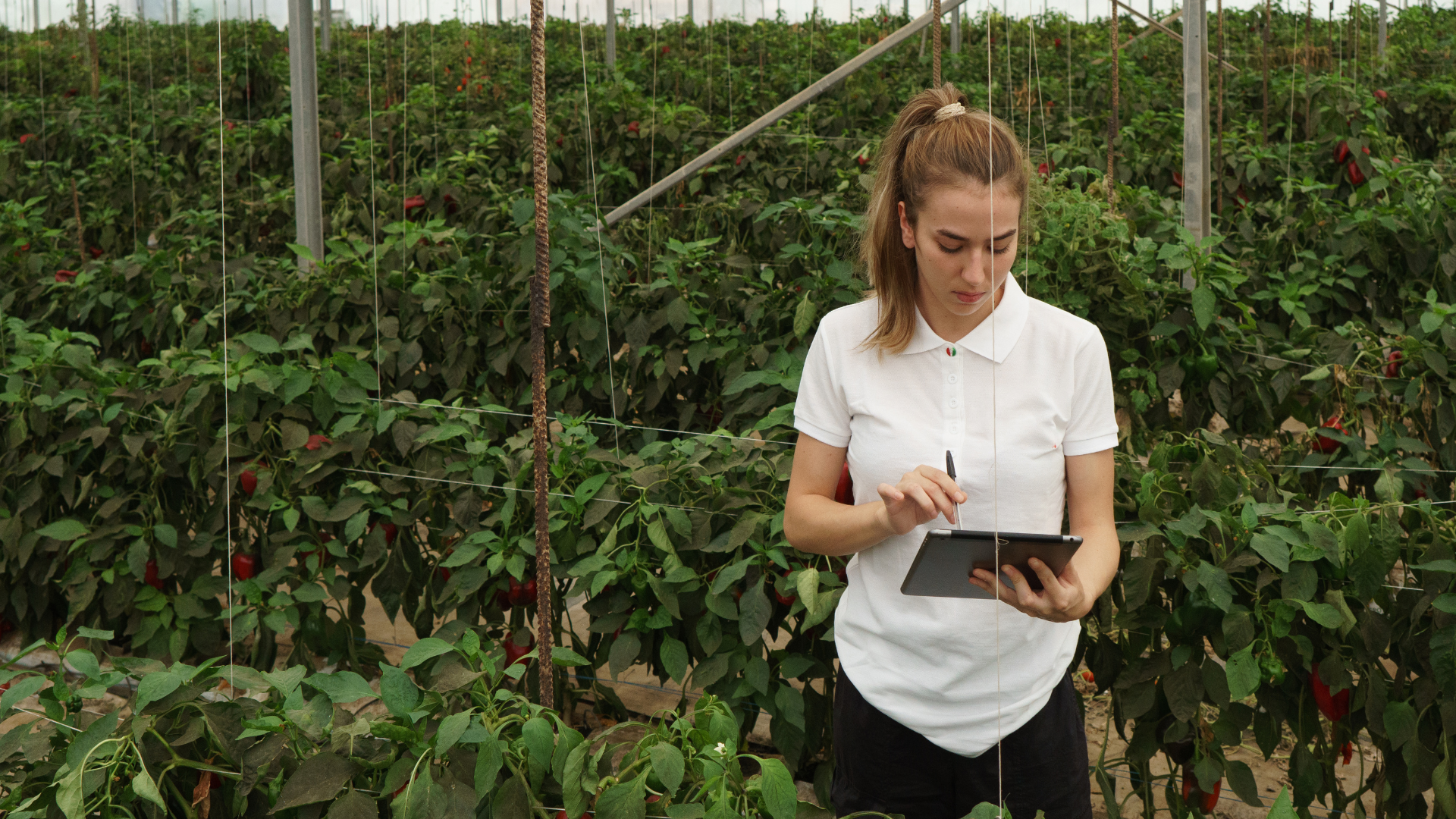 Agriculture Solutions